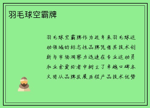 羽毛球空霸牌